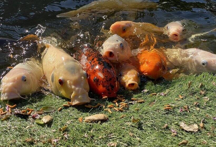 مبيت وإفطار My Big Art Project