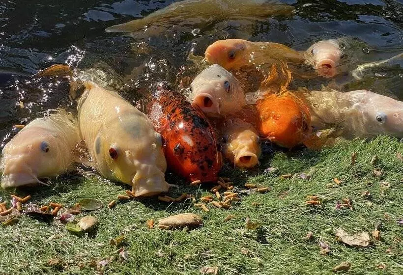 ベッドアンドブレックファースト My Big Art Project