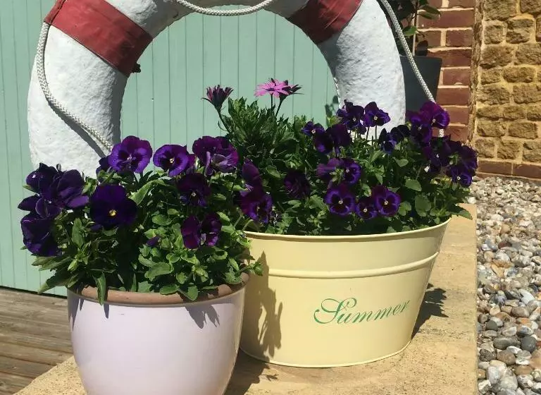 ベッドアンドブレックファースト Heatherbell Cottage Guest Accommodation