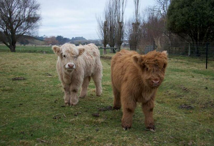 호텔 Highlands On Homestead