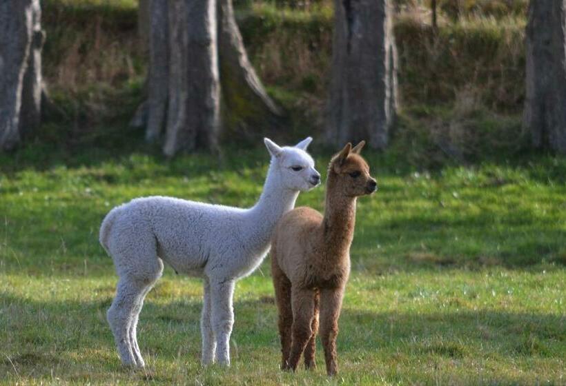 호텔 Highlands On Homestead