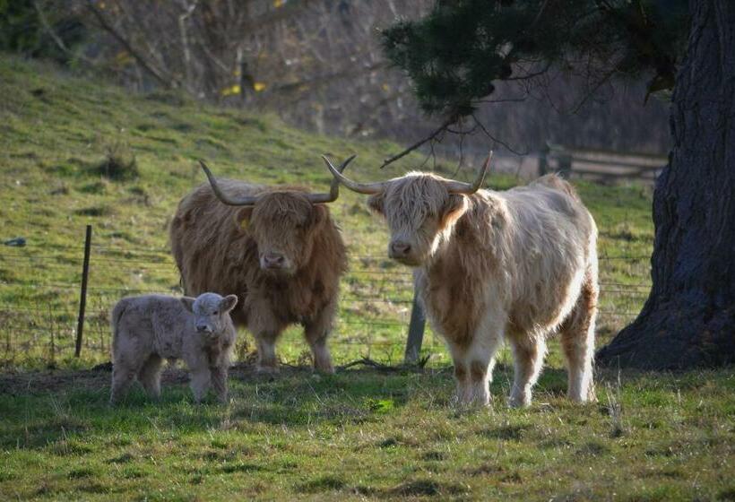 호텔 Highlands On Homestead