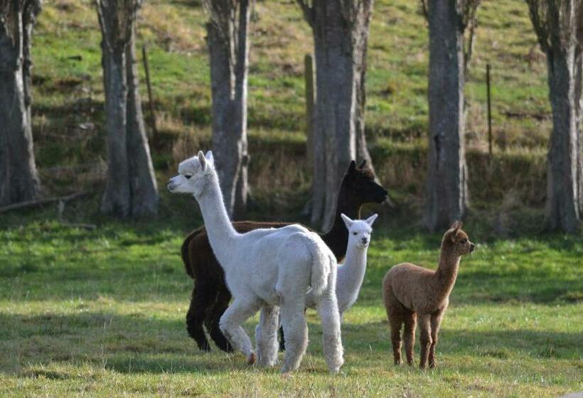 호텔 Highlands On Homestead