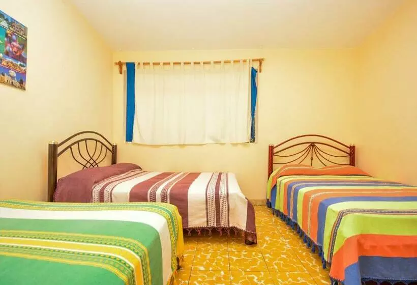 Los Nardos Hostel