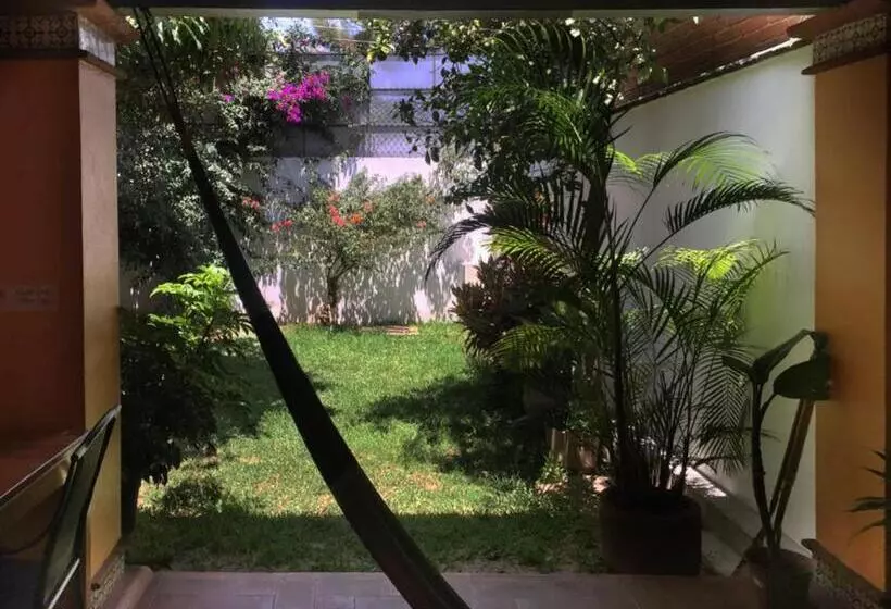 Los Nardos Hostel