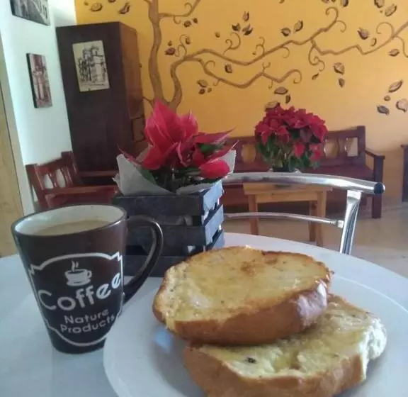 Los Nardos Hostel