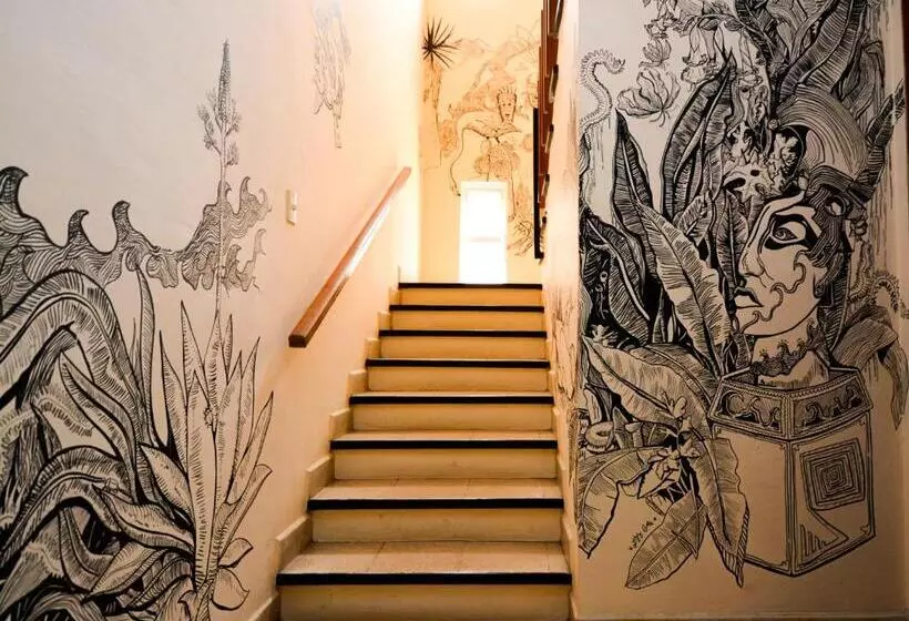 Los Nardos Hostel