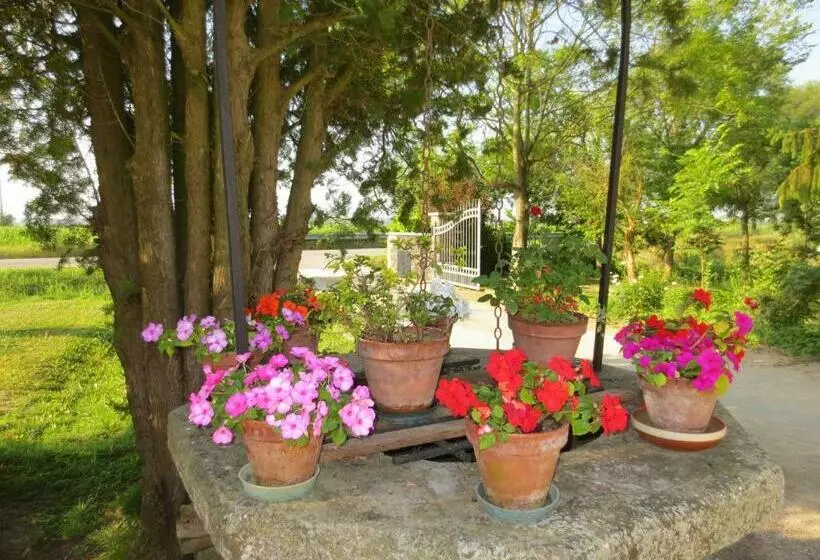 پانسیون Borgo Tarapino