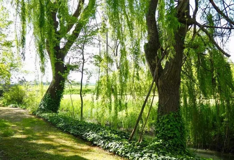 پانسیون Borgo Tarapino