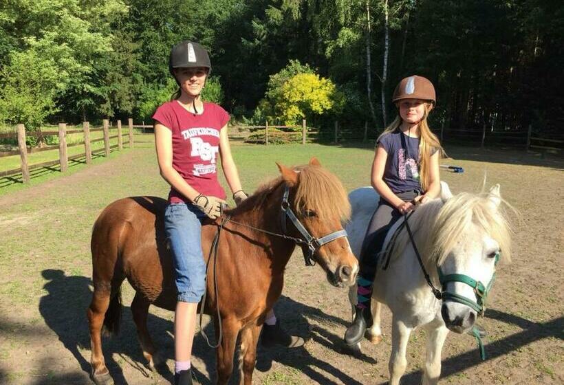 بنسيون Gästehaus Bommelsen