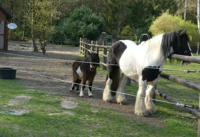Majatalo Gästehaus Bommelsen