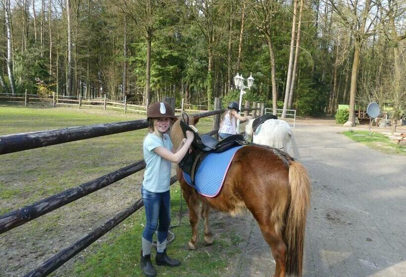 بنسيون Gästehaus Bommelsen