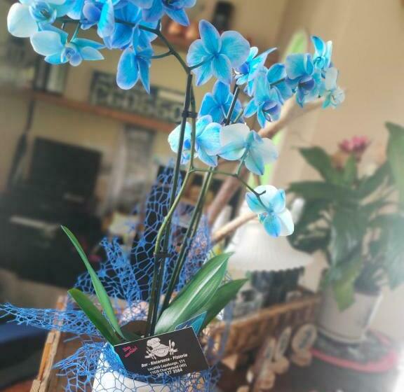 پانسیون Locanda Mami