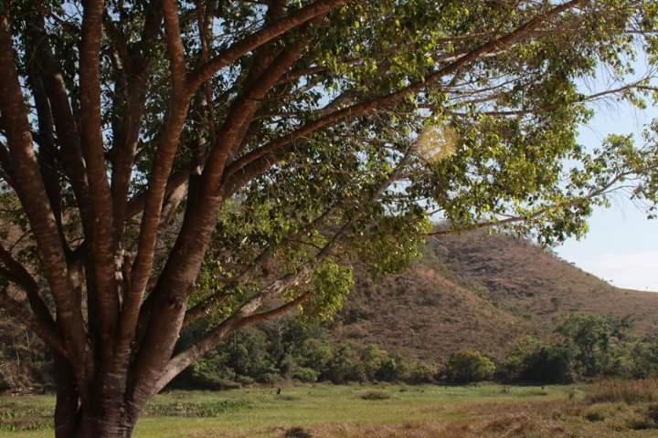 호스텔 Espaço Ecológico E Pousada Terra Betania