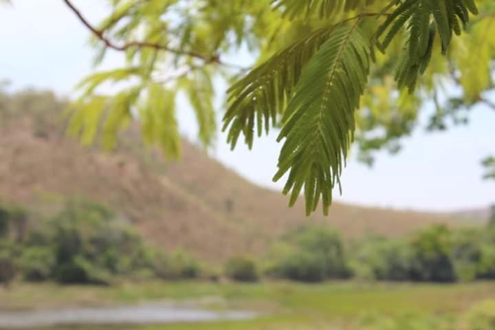 호스텔 Espaço Ecológico E Pousada Terra Betania