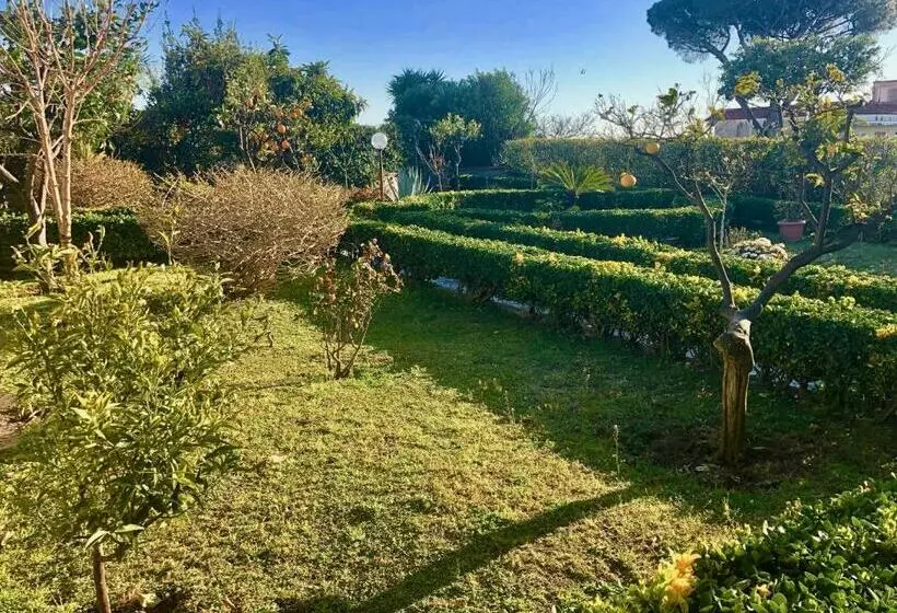 B&b Annetta