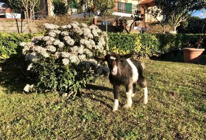 B&b Annetta