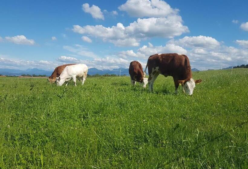 Отель Gästehaus Annemarie