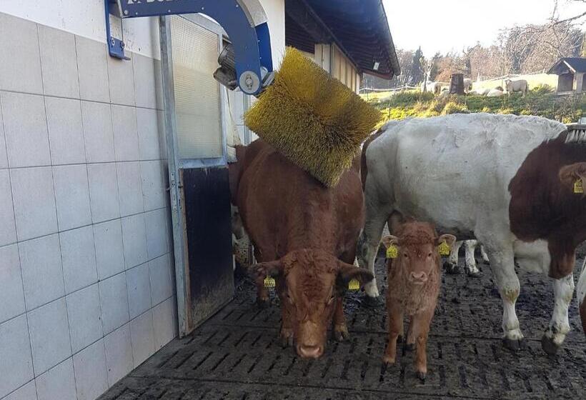 Отель Gästehaus Annemarie