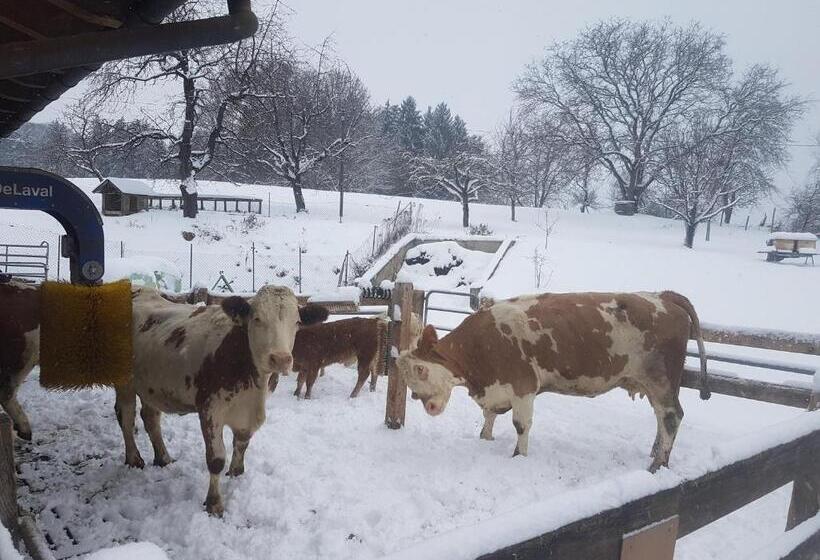 Отель Gästehaus Annemarie