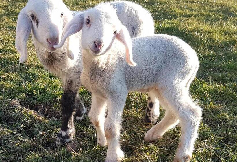 Отель Gästehaus Annemarie