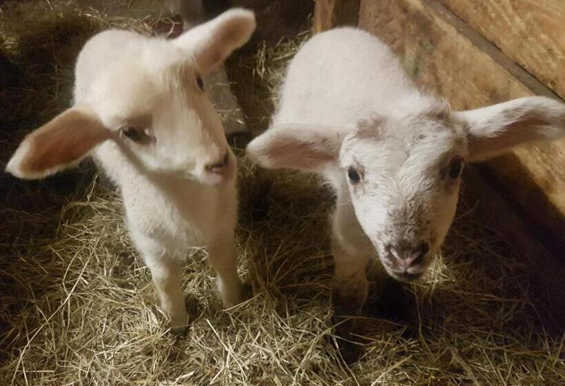 Отель Gästehaus Annemarie