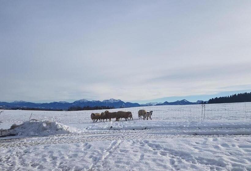 Отель Gästehaus Annemarie
