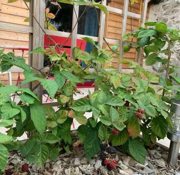 Aamiaismajoitus (B&B) La Basse Monniere