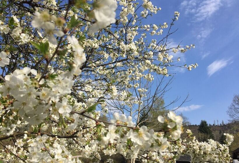 Bed and Breakfast La Ferme De Jean Entre Lacs Et Montagnes