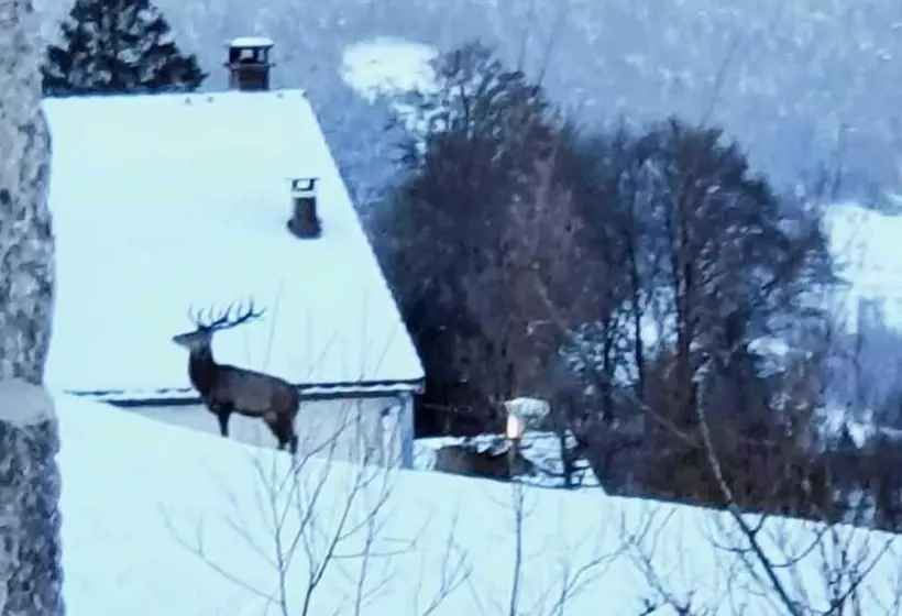 ベッドアンドブレックファースト La Ferme De Jean Entre Lacs Et Montagnes