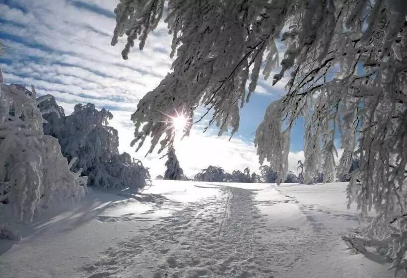 ベッドアンドブレックファースト La Ferme De Jean Entre Lacs Et Montagnes