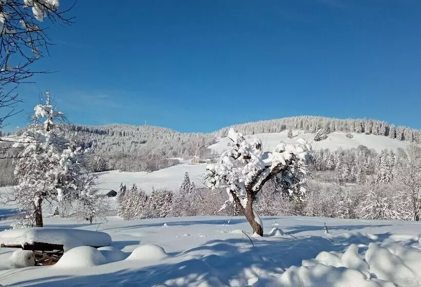 ベッドアンドブレックファースト La Ferme De Jean Entre Lacs Et Montagnes