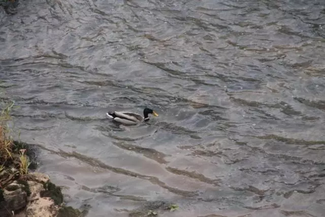 ベッドアンドブレックファースト Le Moulin De Benechou