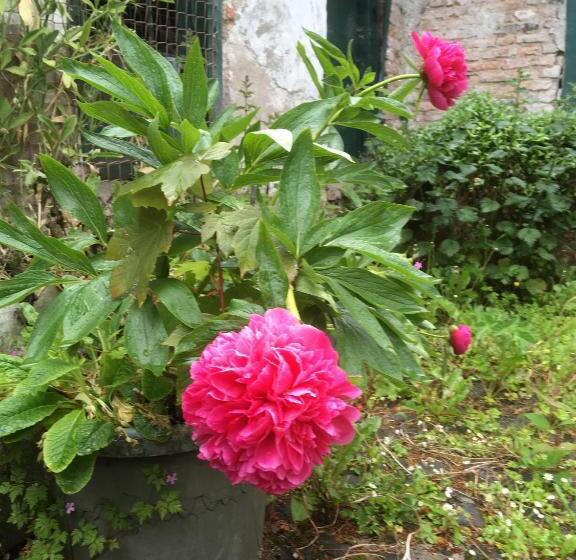 مبيت وإفطار O Harabrook Country House