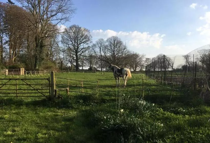 تختخواب و صبحانه O Harabrook Country House
