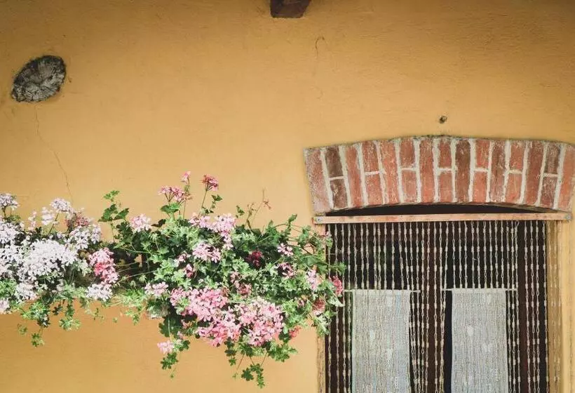 ホテル Agriturismo Fiori Di Zucca