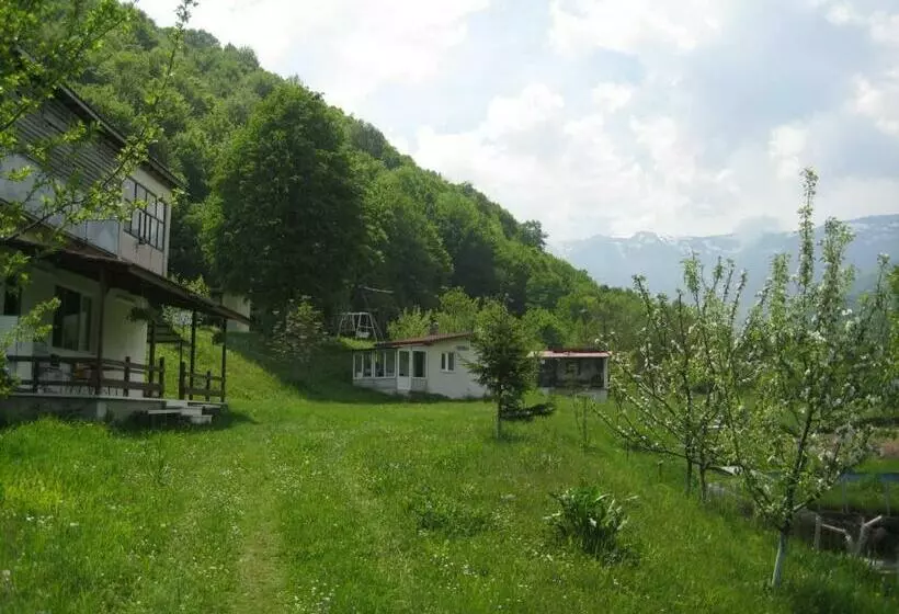 ペンション Bungalows Zdravets