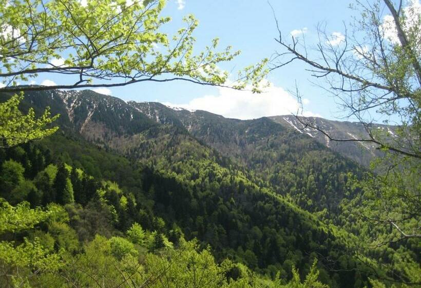 פנסיון Bungalows Zdravets