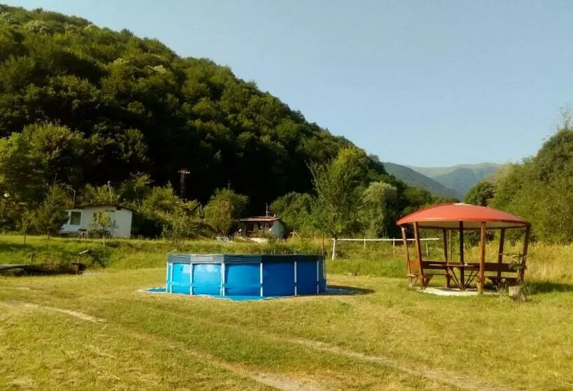 ペンション Bungalows Zdravets