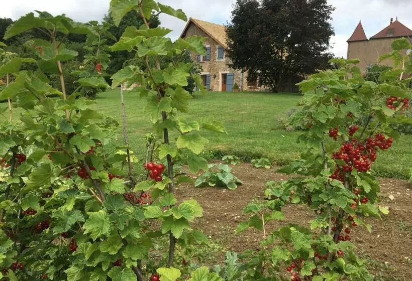 Bed & Breakfast La Chambre Des Buissonnats