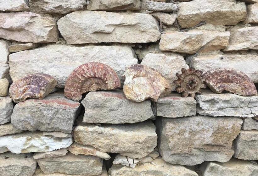 צימר La Chambre Des Buissonnats