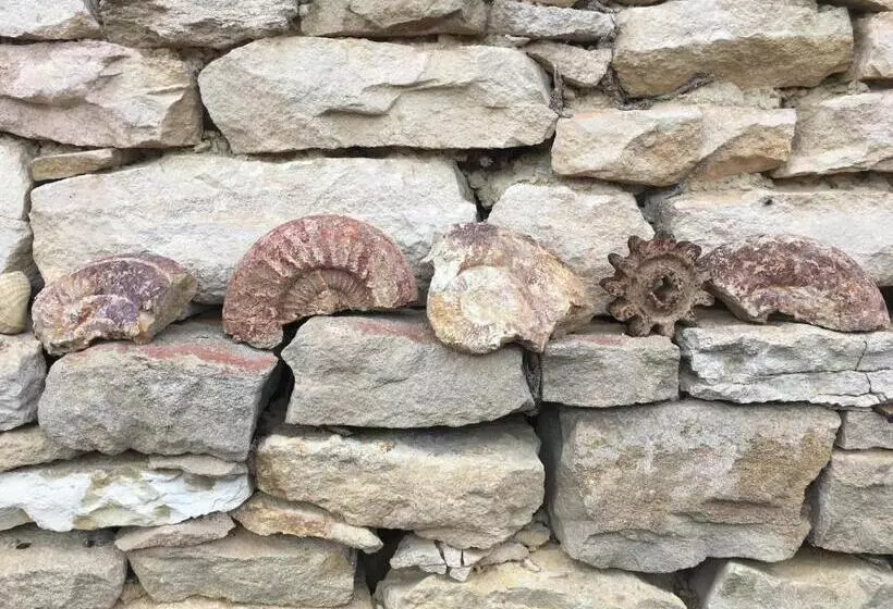 Bed & Breakfast La Chambre Des Buissonnats