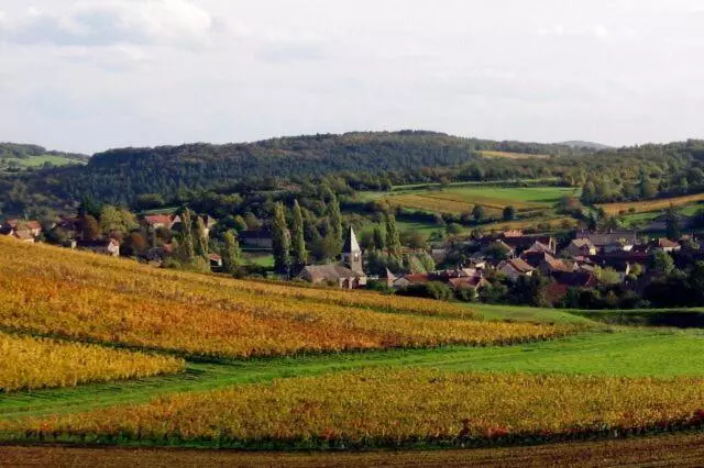 Bed & Breakfast La Chambre Des Buissonnats