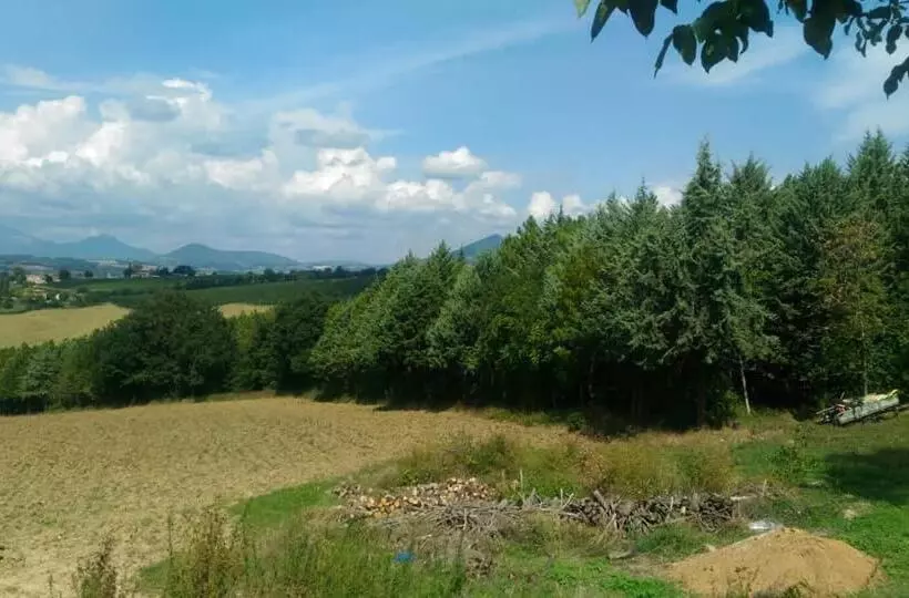 I Balzani B&b