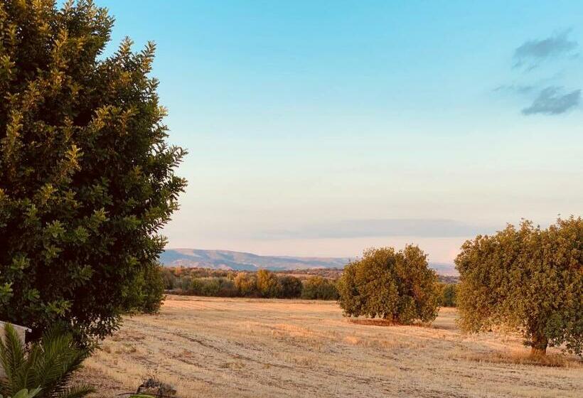 Pensjonat Affittacamere Ternulla