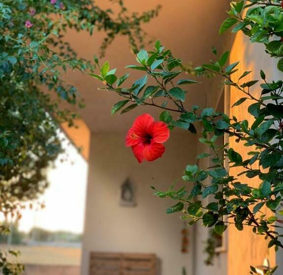 Pensjonat Affittacamere Ternulla