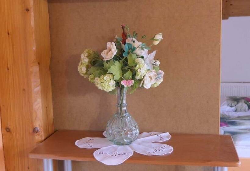 פנסיון Apartments And Rooms Brunko