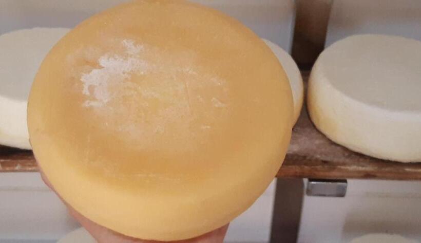 بنسيون Garça Branca