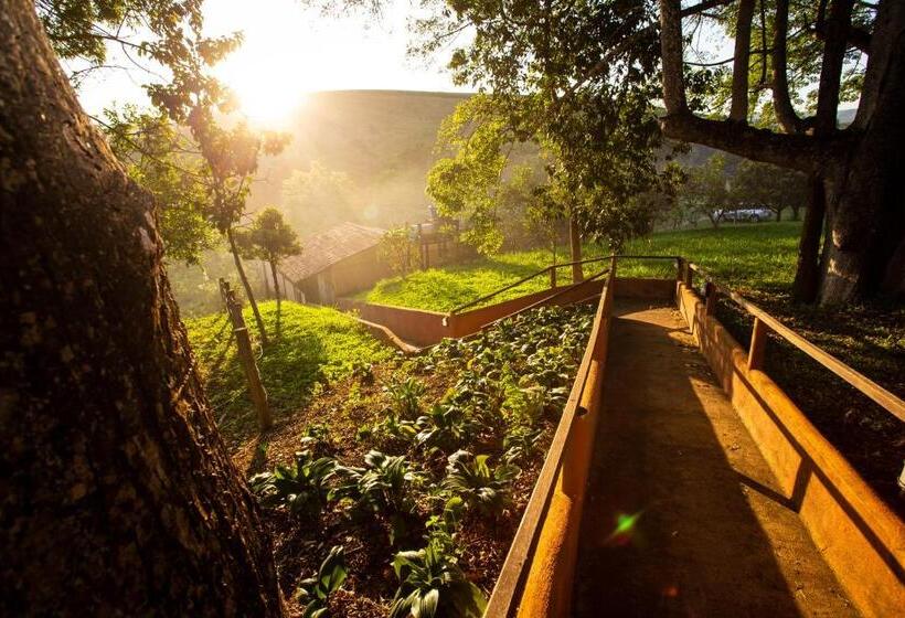 بنسيون Garça Branca