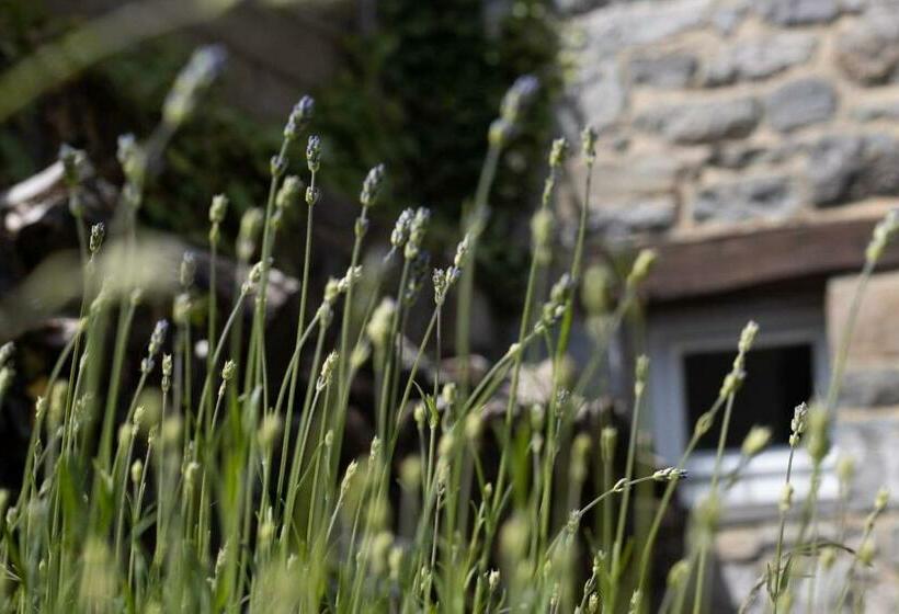 مبيت وإفطار Maison De Charme à Crupet Et Le Gîte La Suite